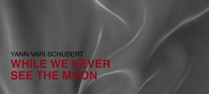 Yann-Vari Schubert „while we never see the moon“