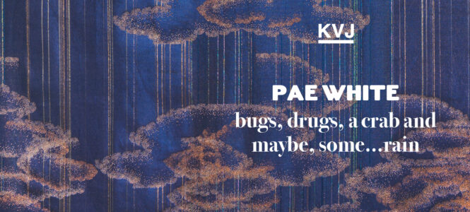 Pae White „bugs, drugs, a crab and maybe, some…rain“