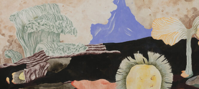 Sylvie Ringer „Two worlds – in and out of shadowland“